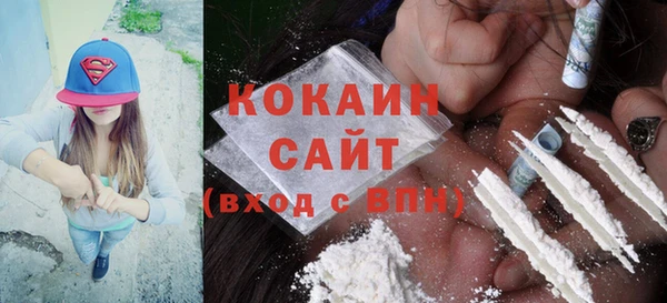 сатива Михайлов