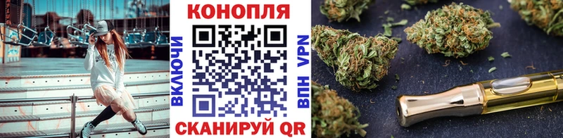 купить  цена  Гаврилов Посад  Бошки марихуана ГИДРОПОН 